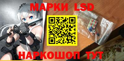 ПСИЛОЦИБИНОВЫЕ ГРИБЫ Гатчина