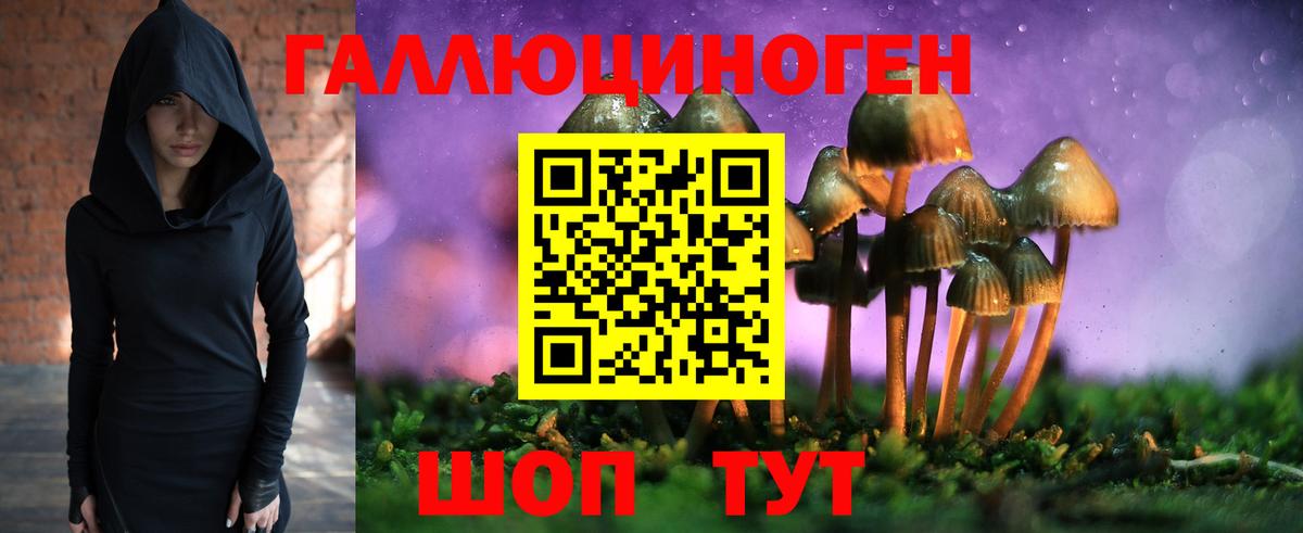 Галлюциногенные грибы прущие грибы Можга