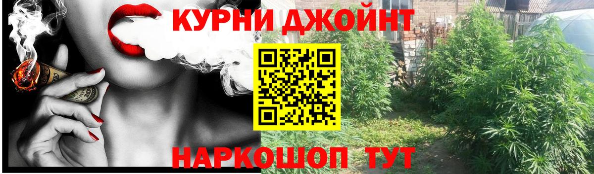 Бошки Шишки Amnesia Можга